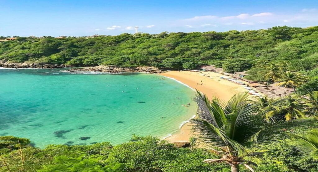 95cc0165a0aaef084126848a02db9278 (1)